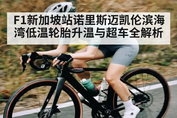 F1新加坡站诺里斯迈凯伦滨海湾低温轮胎升温与超车全解析 | hth